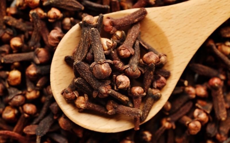 Cinnamon (Taj)